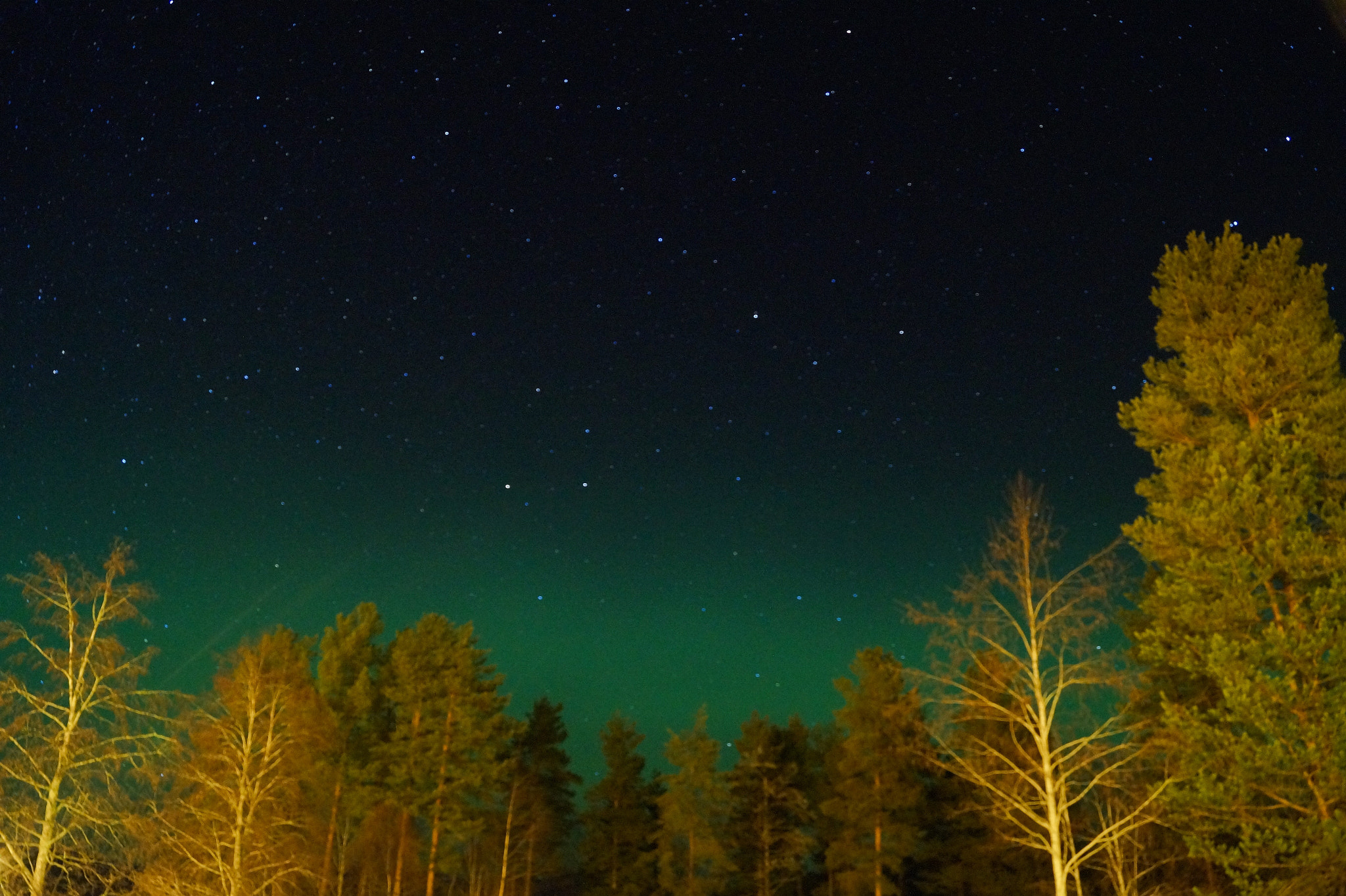 Sony DT 18-55mm F3.5-5.6 SAM II sample photo. Green horizon photography