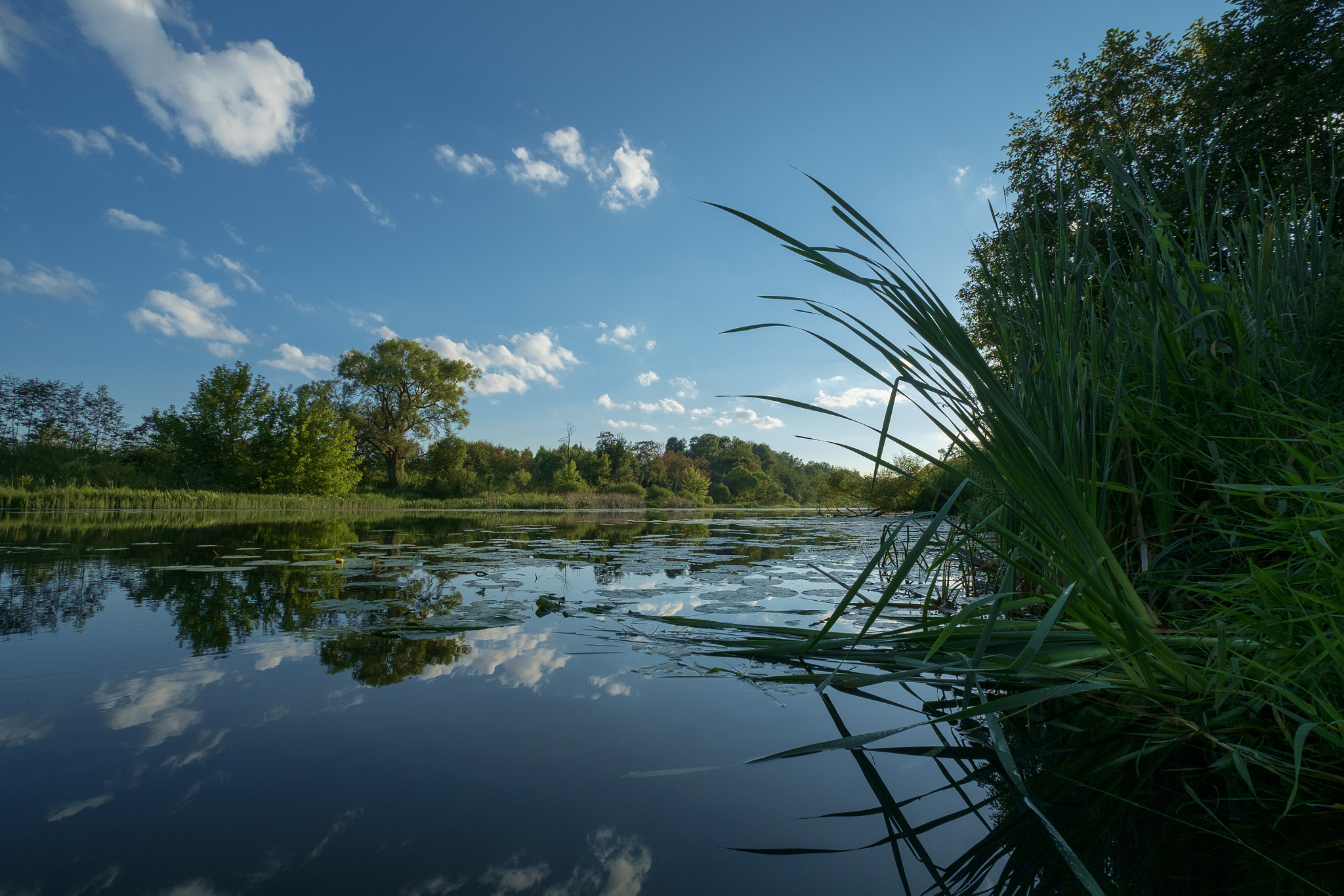 Fujifilm X-E1 + Fujifilm XF 10-24mm F4 R OIS sample photo. In river looked clouds ... photography