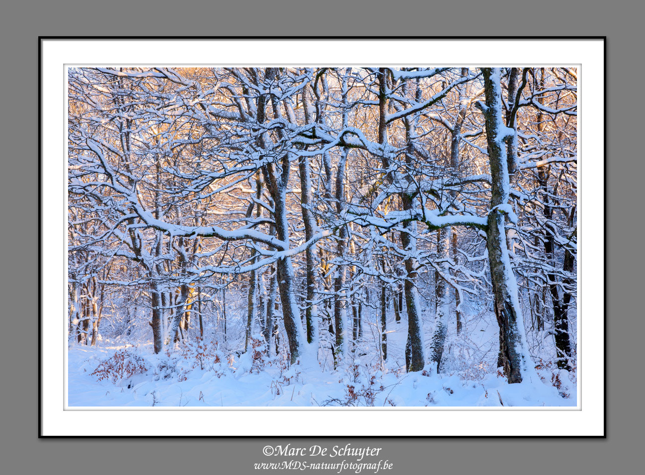 Canon TS-E 90mm F2.8 Tilt-Shift sample photo. Cold & warm photography