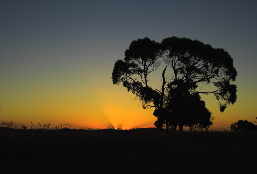 Canon EOS 60D sample photo. Country dusk photography