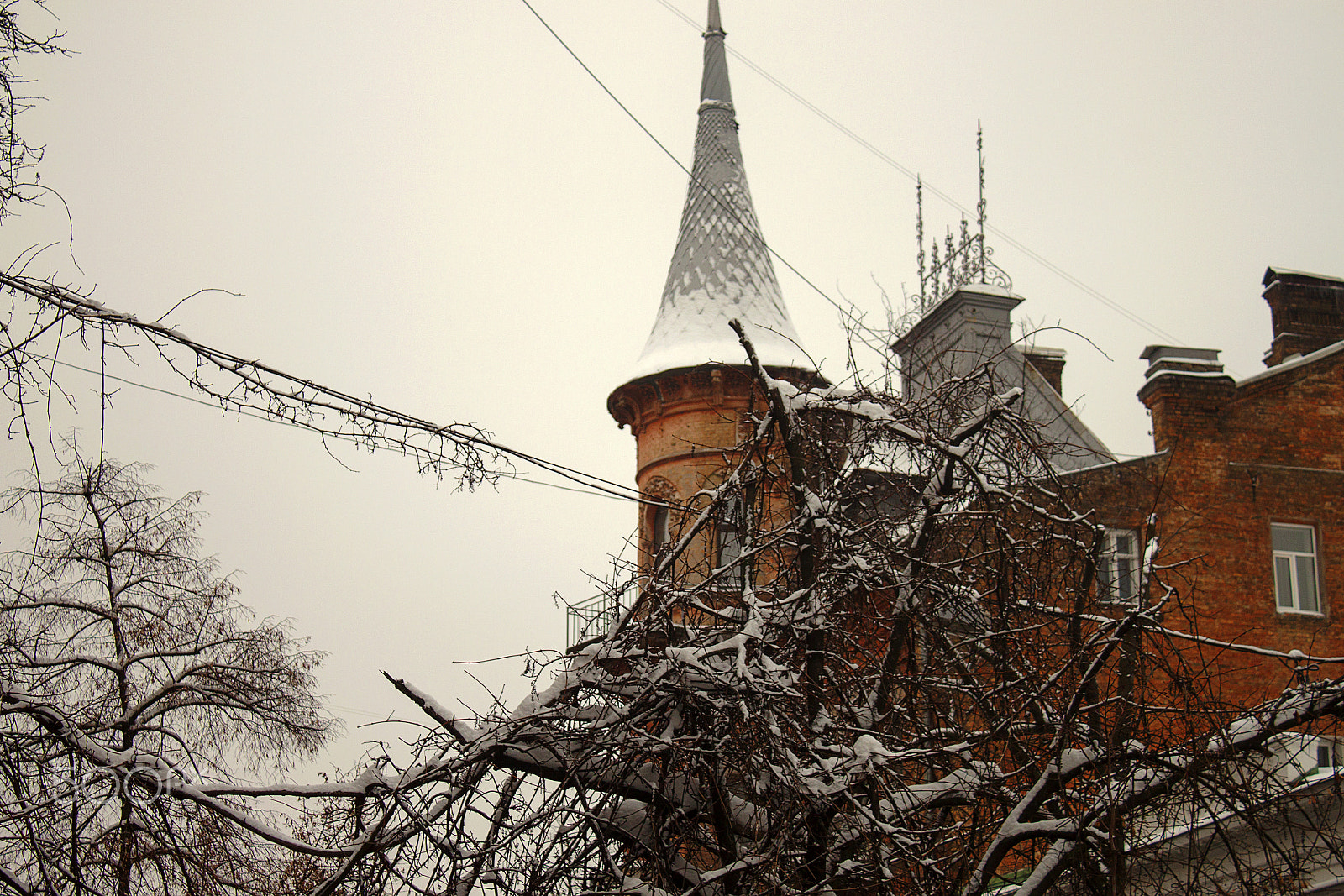 Canon EOS 500D (EOS Rebel T1i / EOS Kiss X3) sample photo. ***** photography