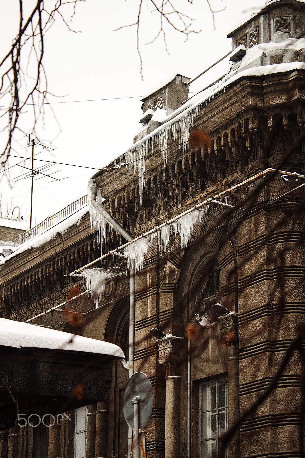 Canon EOS 500D (EOS Rebel T1i / EOS Kiss X3) sample photo. ***** photography