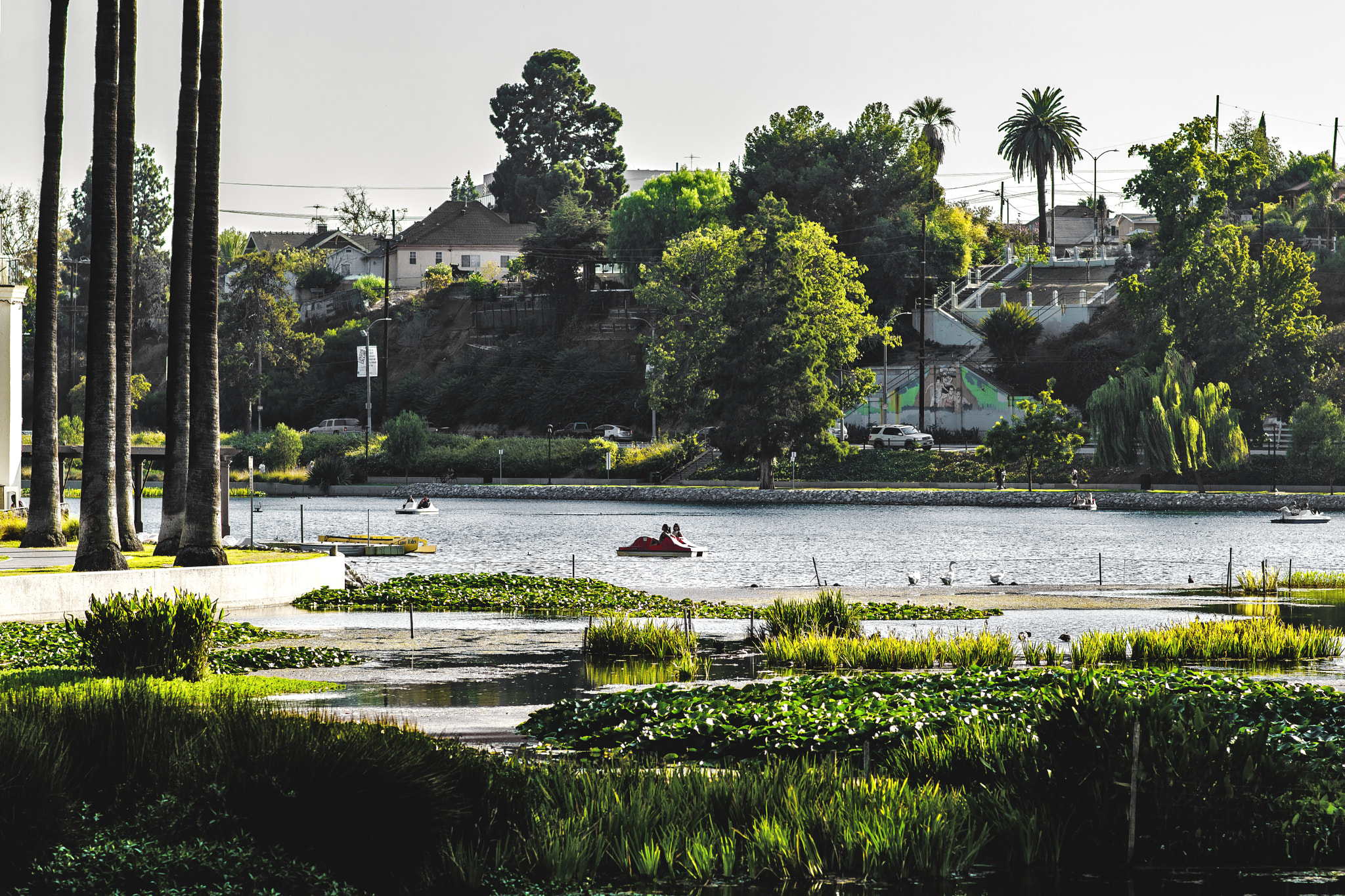 Nikon D5300 + Nikon AF-S Nikkor 85mm F1.8G sample photo. Echo park photography