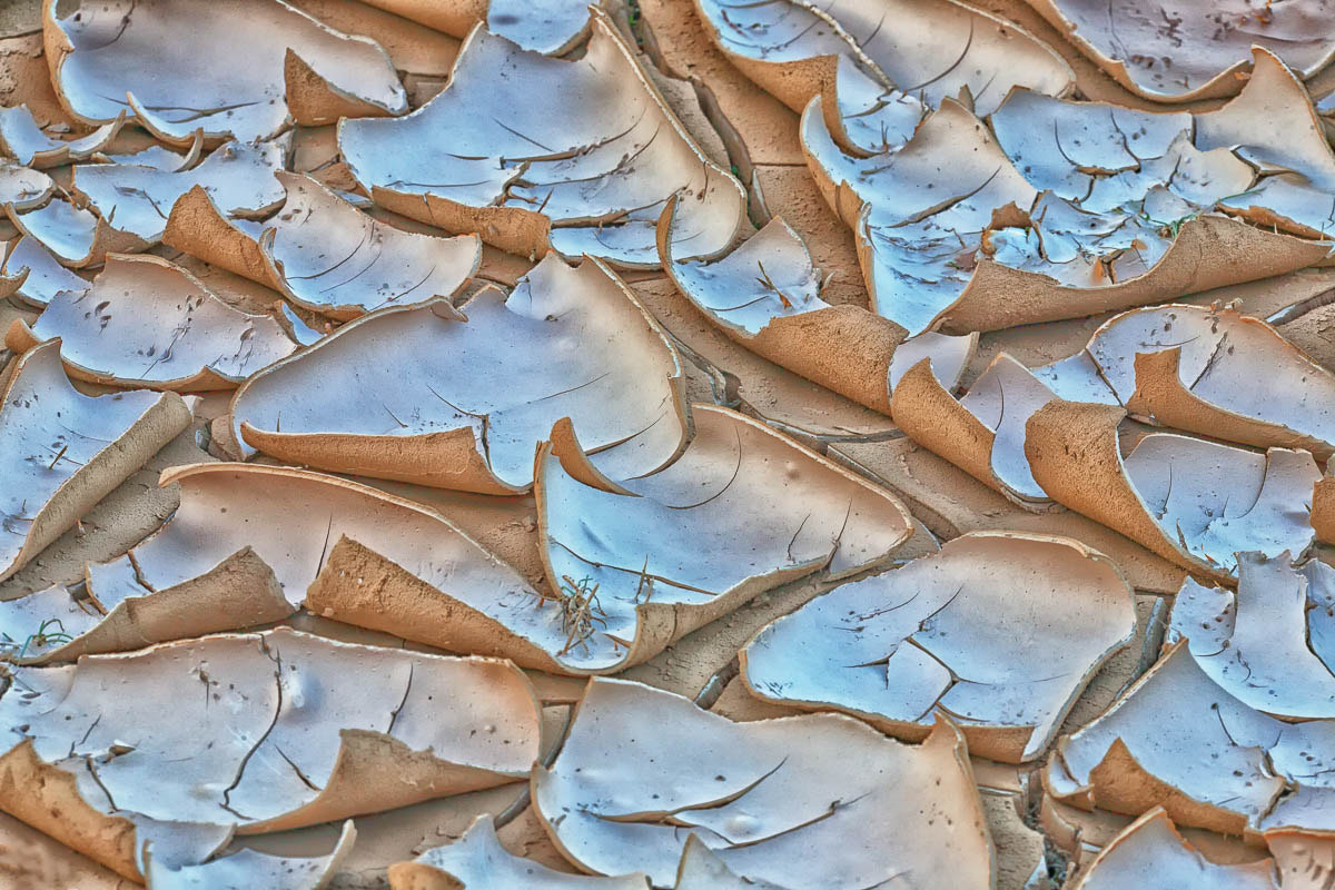 Canon EF 180mm F3.5L Macro USM sample photo. Mud photography
