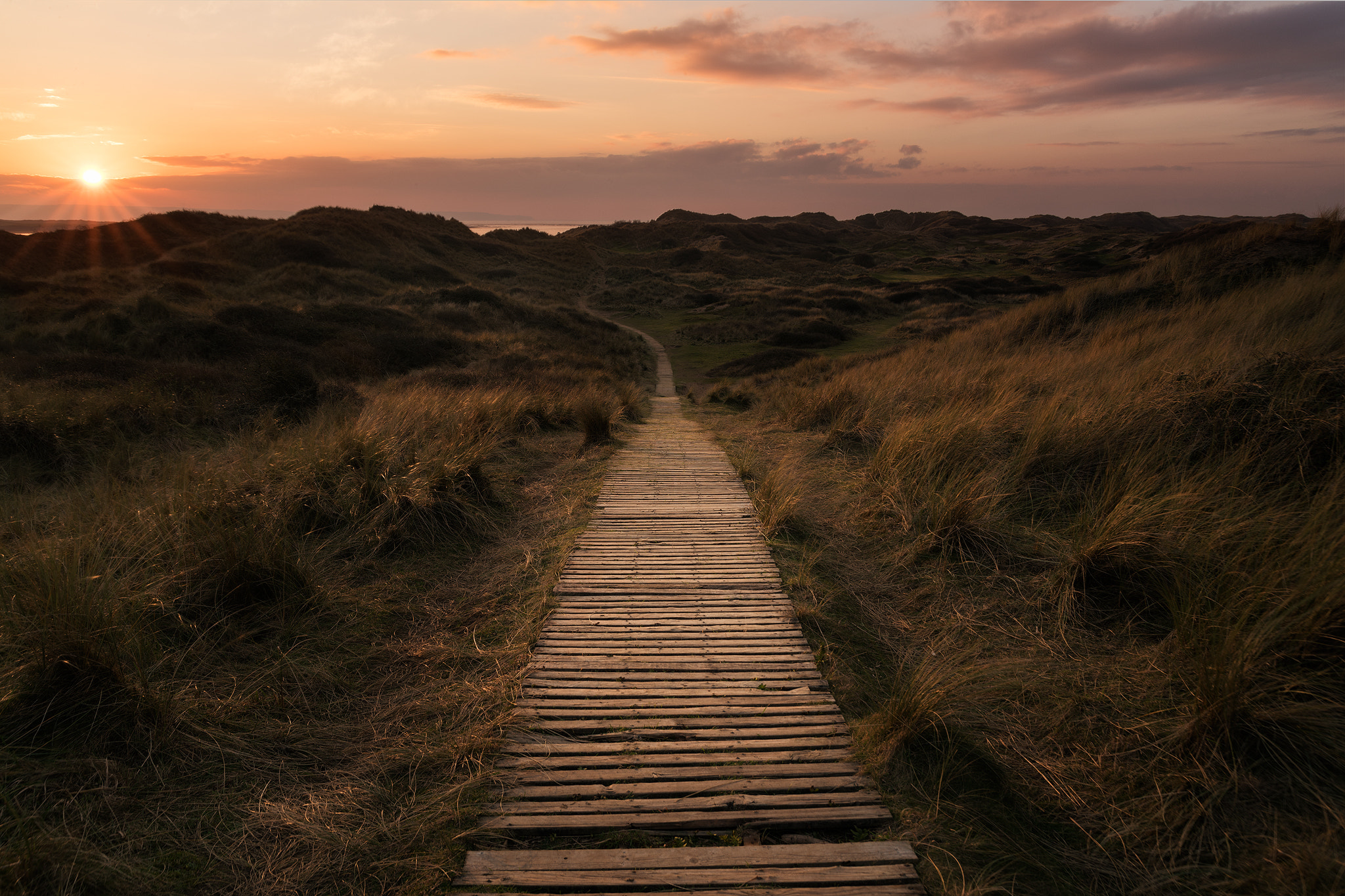 Nikon D810 + Sigma 24-105mm F4 DG OS HSM Art sample photo. Braunton burrows photography