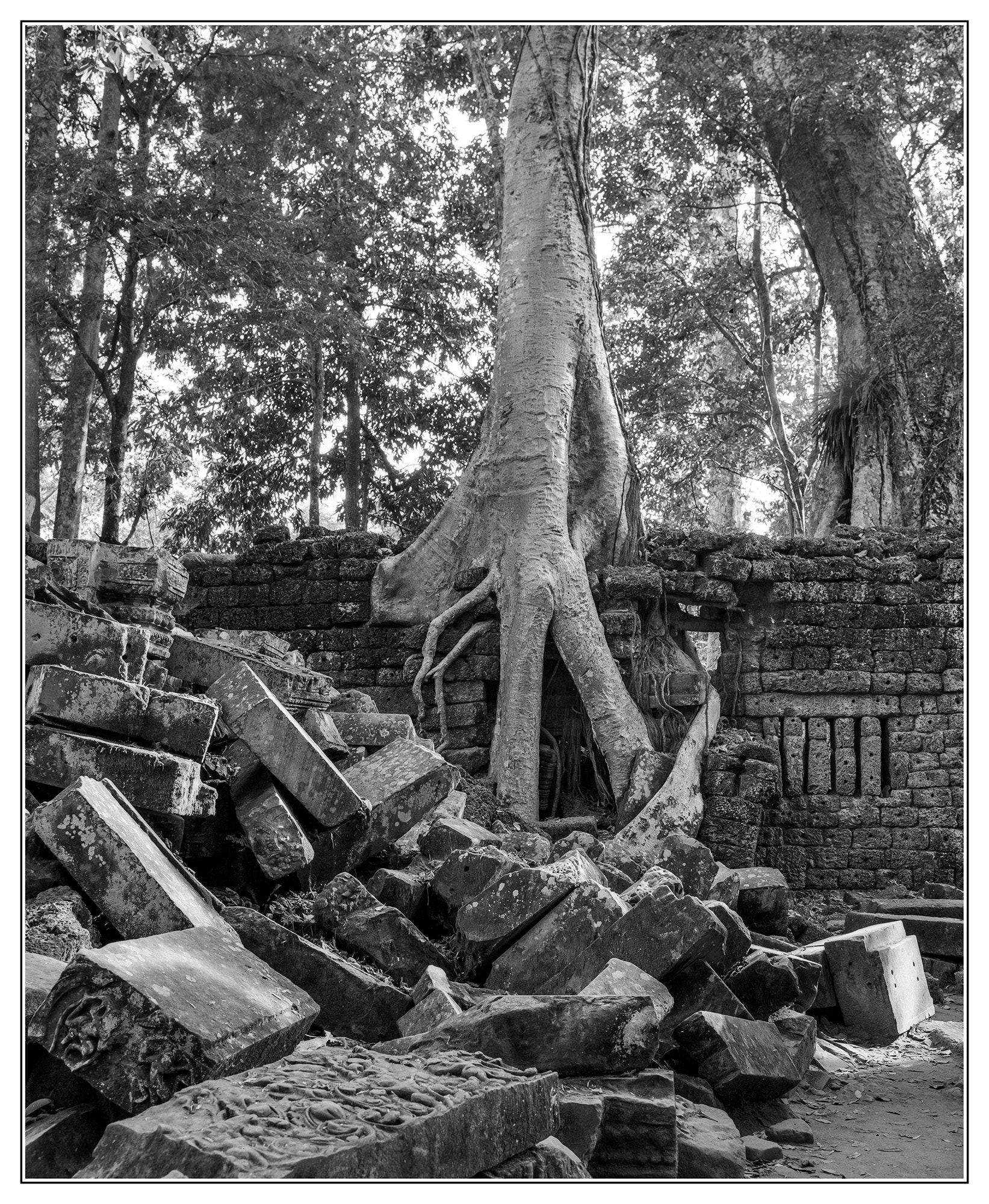 Sony SLT-A77 + Tamron SP AF 60mm F2 Di II LD IF Macro sample photo. Angkor thom photography
