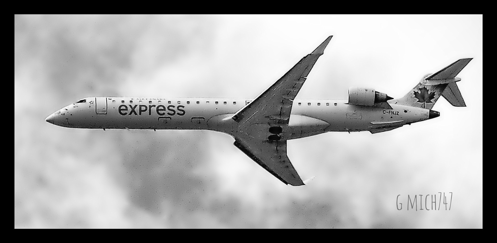 Olympus OM-D E-M10 sample photo. Wings photography