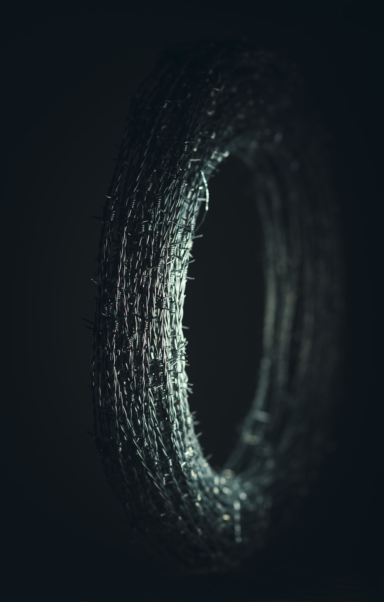 Nikon D5 + Nikon AF-S Nikkor 85mm F1.4G sample photo. Barbed circle by harry schaffer, arlesheim photography