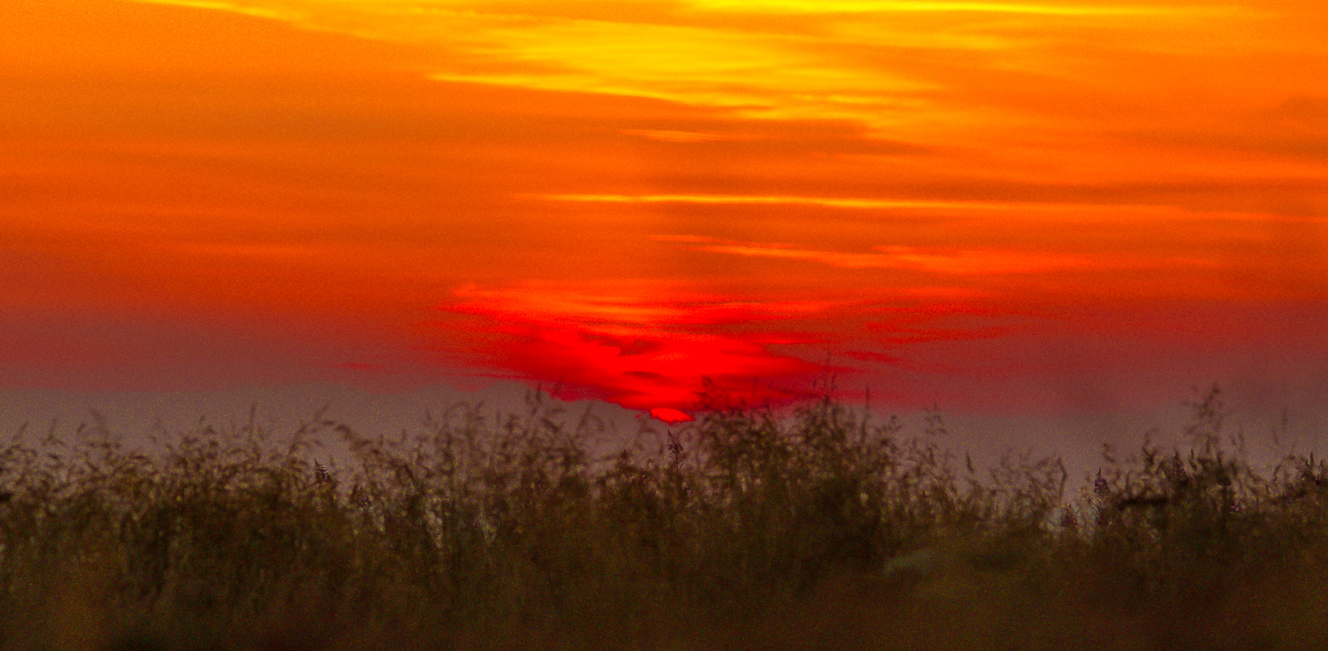 Sigma 150-500mm F5-6.3 DG OS HSM sample photo. Sunset photography