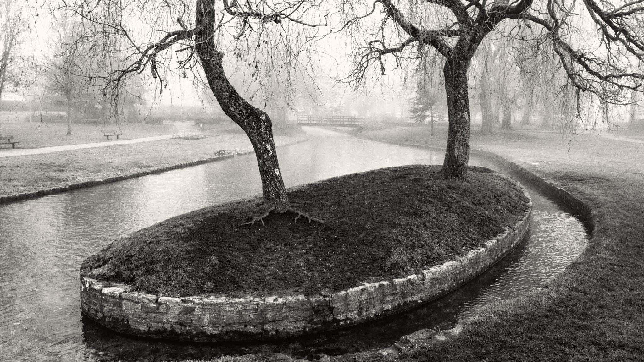 Canon EOS 750D (EOS Rebel T6i / EOS Kiss X8i) sample photo. Misty park photography