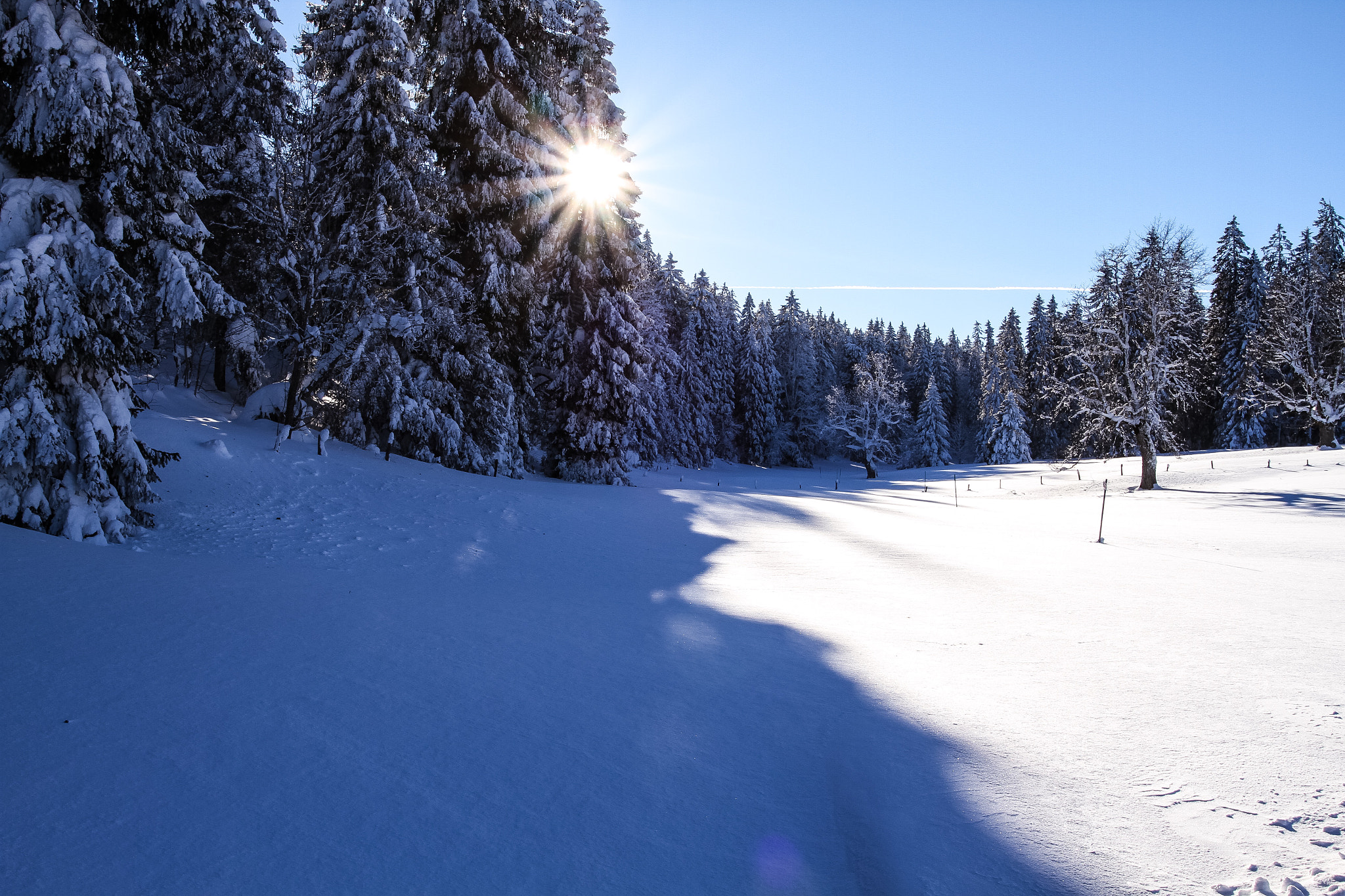 Canon EF 17-40mm F4L USM sample photo. Snowy photography