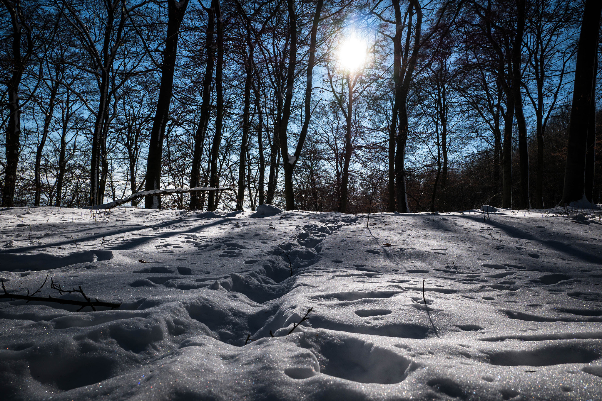 LUMIX G VARIO 12-60/F3.5-5.6 sample photo. Winterway photography