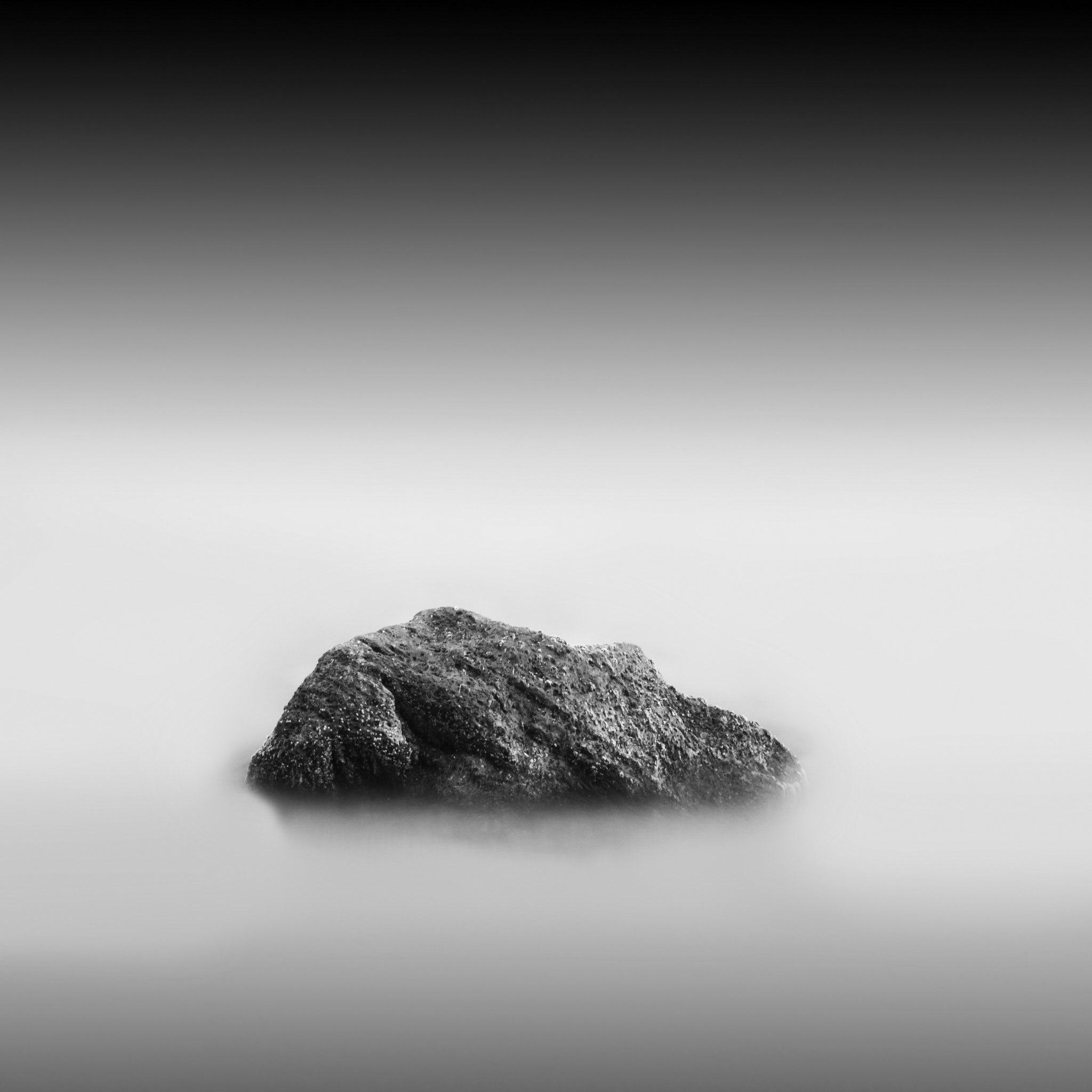 Nikon D80 sample photo. ... photography