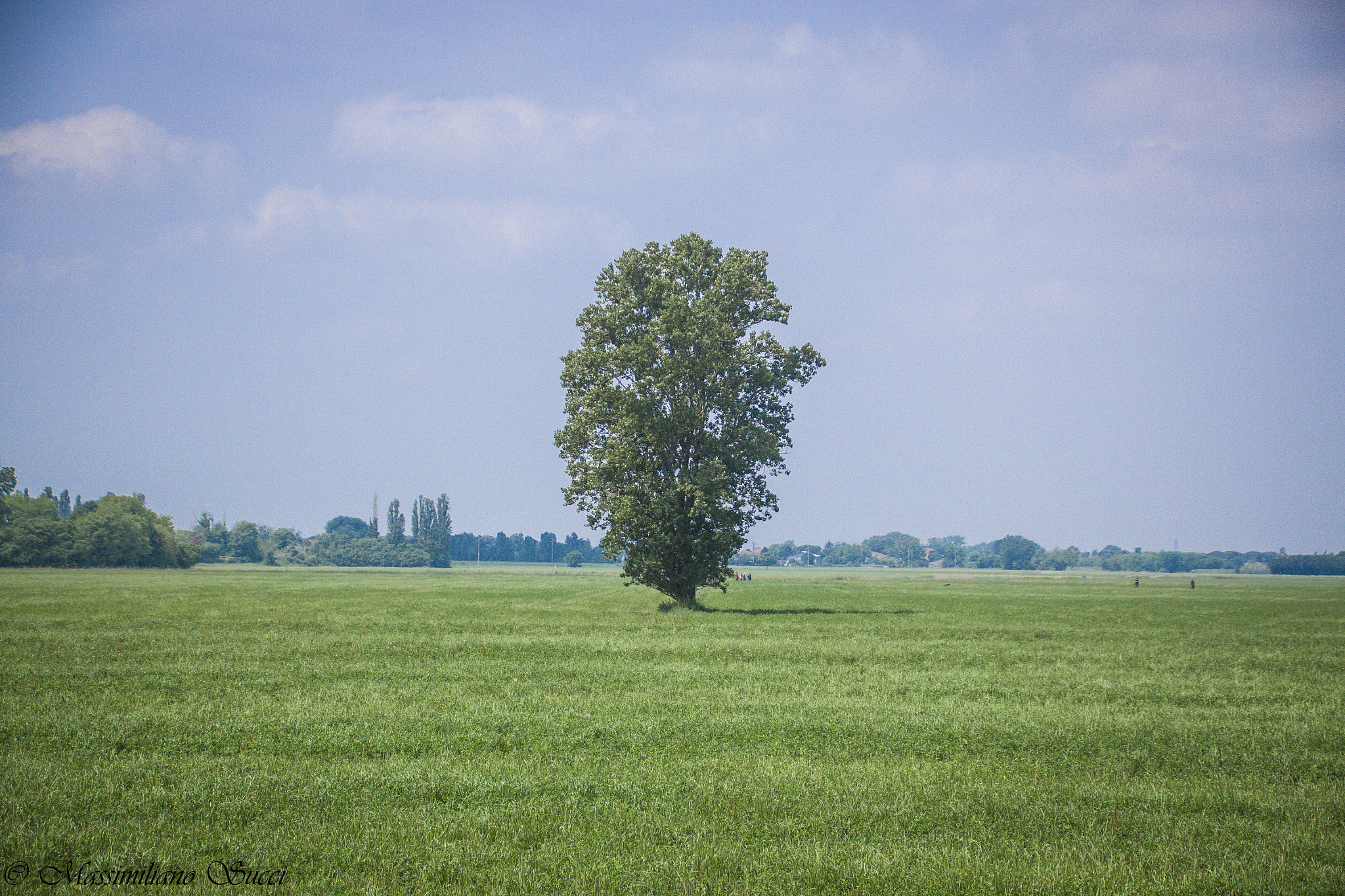 Canon EF 75-300mm F4.0-5.6 IS USM sample photo. The magic tree photography
