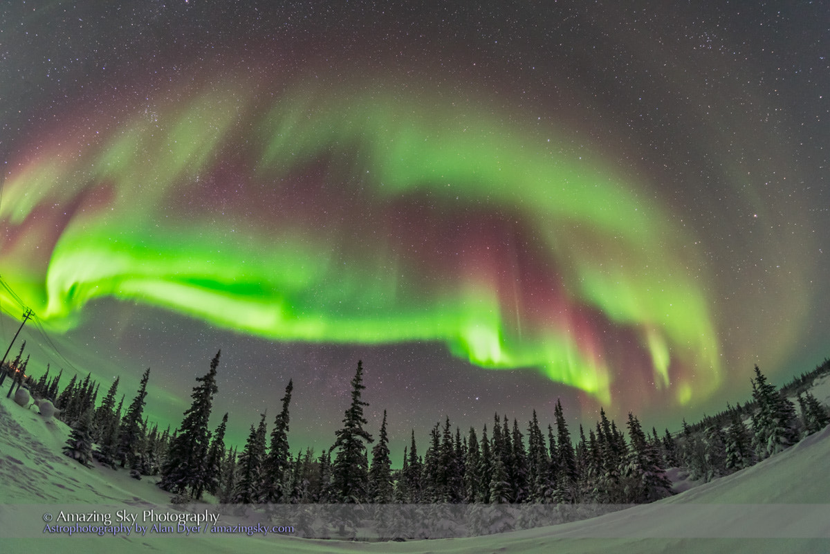 Nikon D750 + Samyang 12mm F2.8 ED AS NCS Fisheye sample photo. Auroral arcs over boreal forest #1 photography