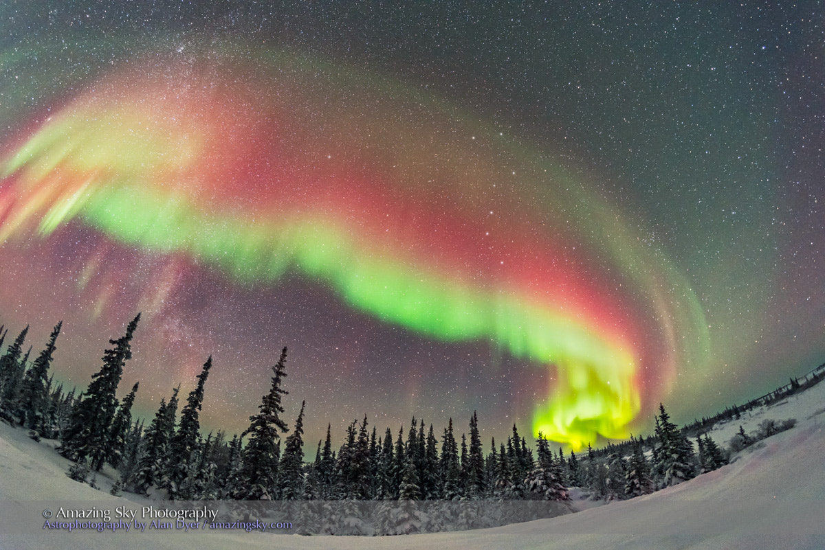 Samyang 12mm F2.8 ED AS NCS Fisheye sample photo. Colourful auroral arc over boreal forest photography
