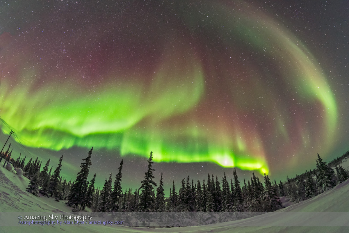 Nikon D750 + Samyang 12mm F2.8 ED AS NCS Fisheye sample photo. Auroral arcs over boreal forest #2 photography