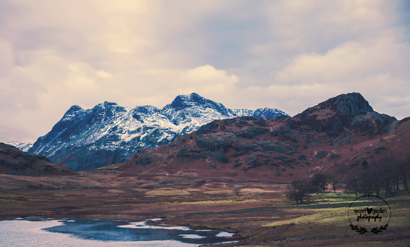 Canon EOS 5D Mark II + Canon EF 400mm f/2.8L sample photo. Blea tarn winter reflections photography