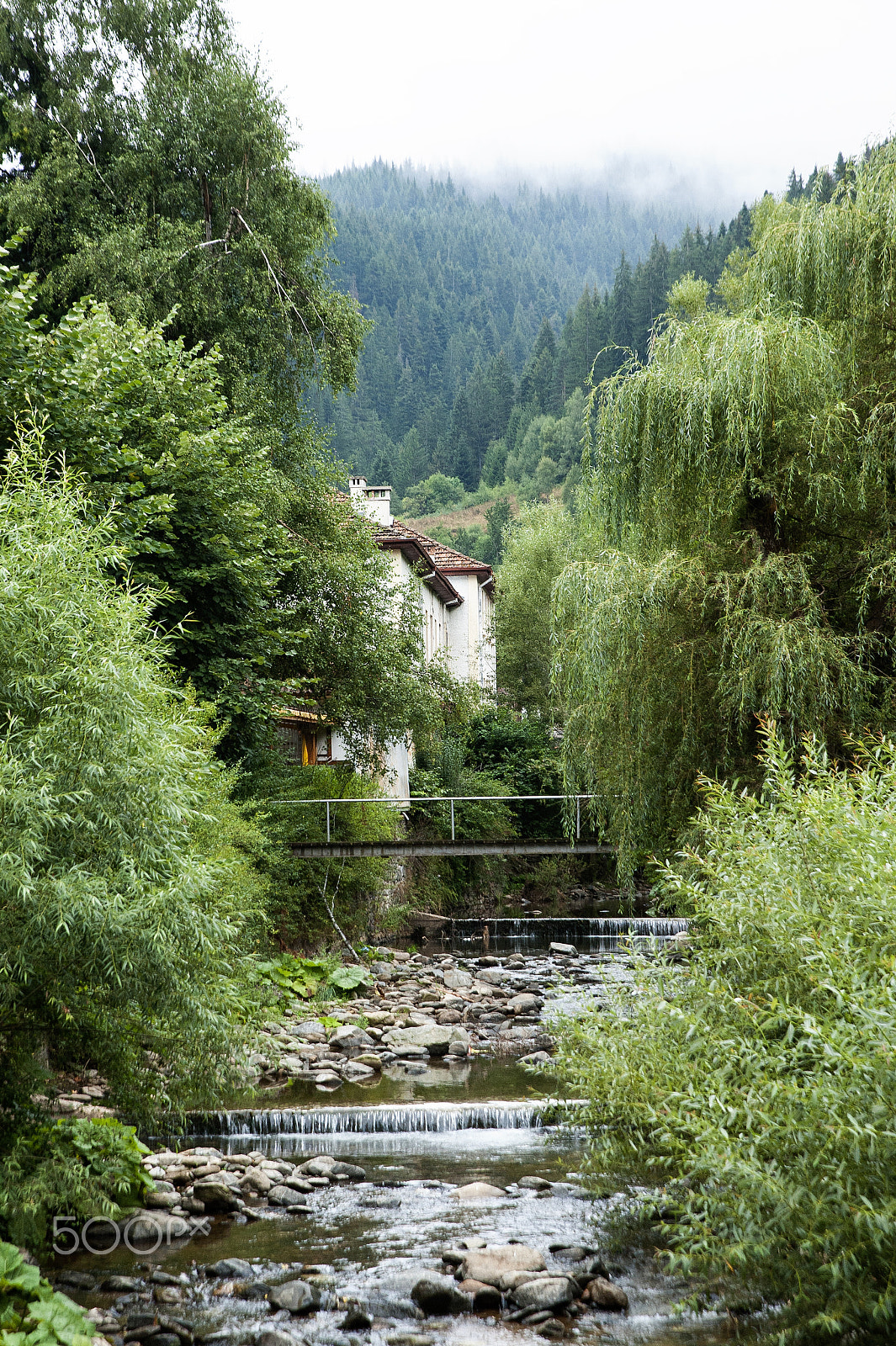 Nikon D700 + Tamron SP 24-70mm F2.8 Di VC USD sample photo. Cottage next to a river that crosses the forest. photography