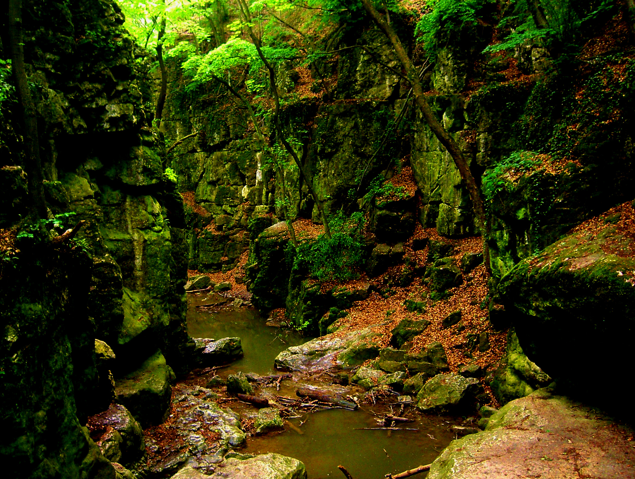 KONICA MINOLTA DiMAGE G400 sample photo. Gaja-brook photography