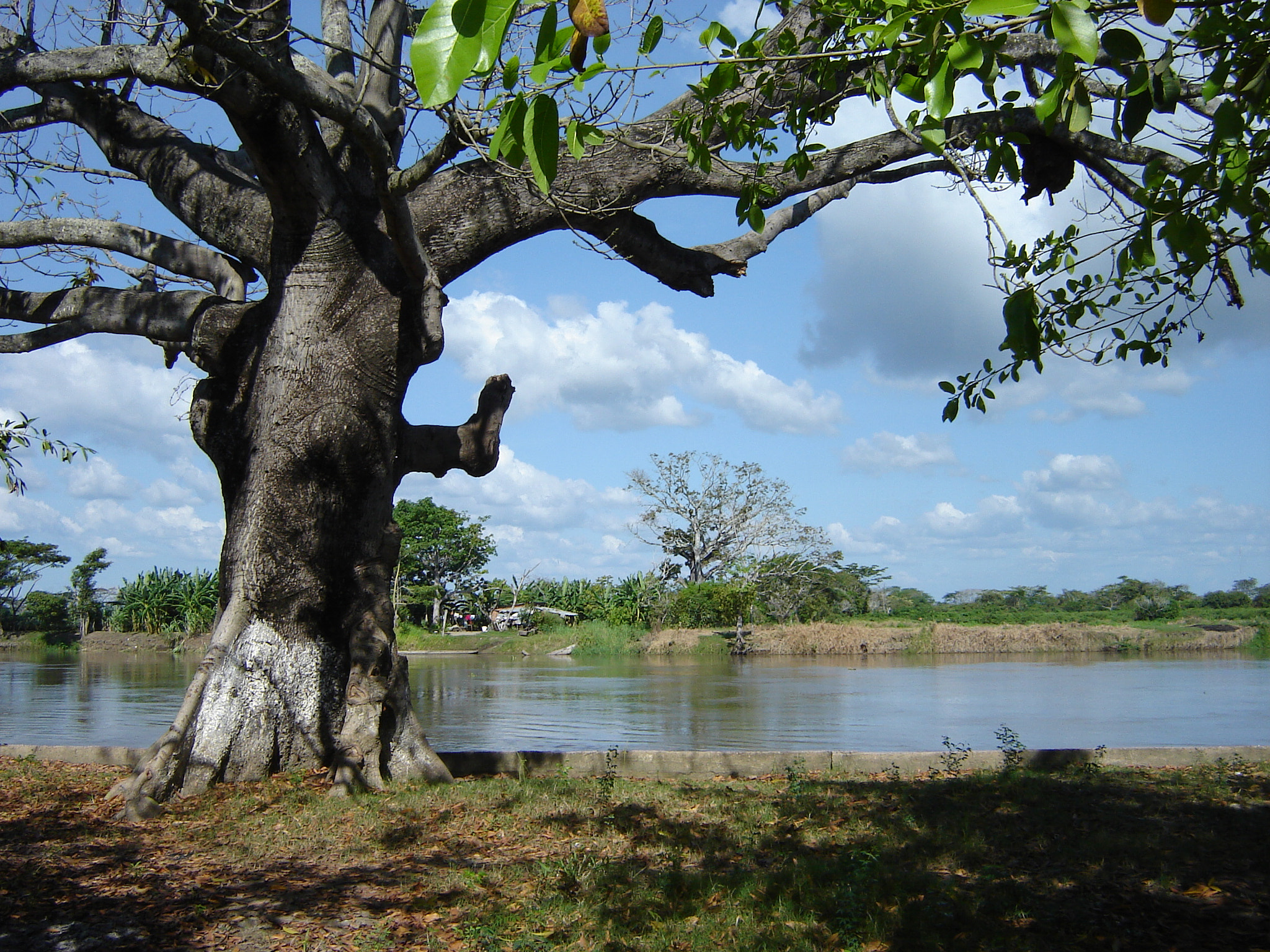 Sony DSC-S90 sample photo. Rio magdalena photography