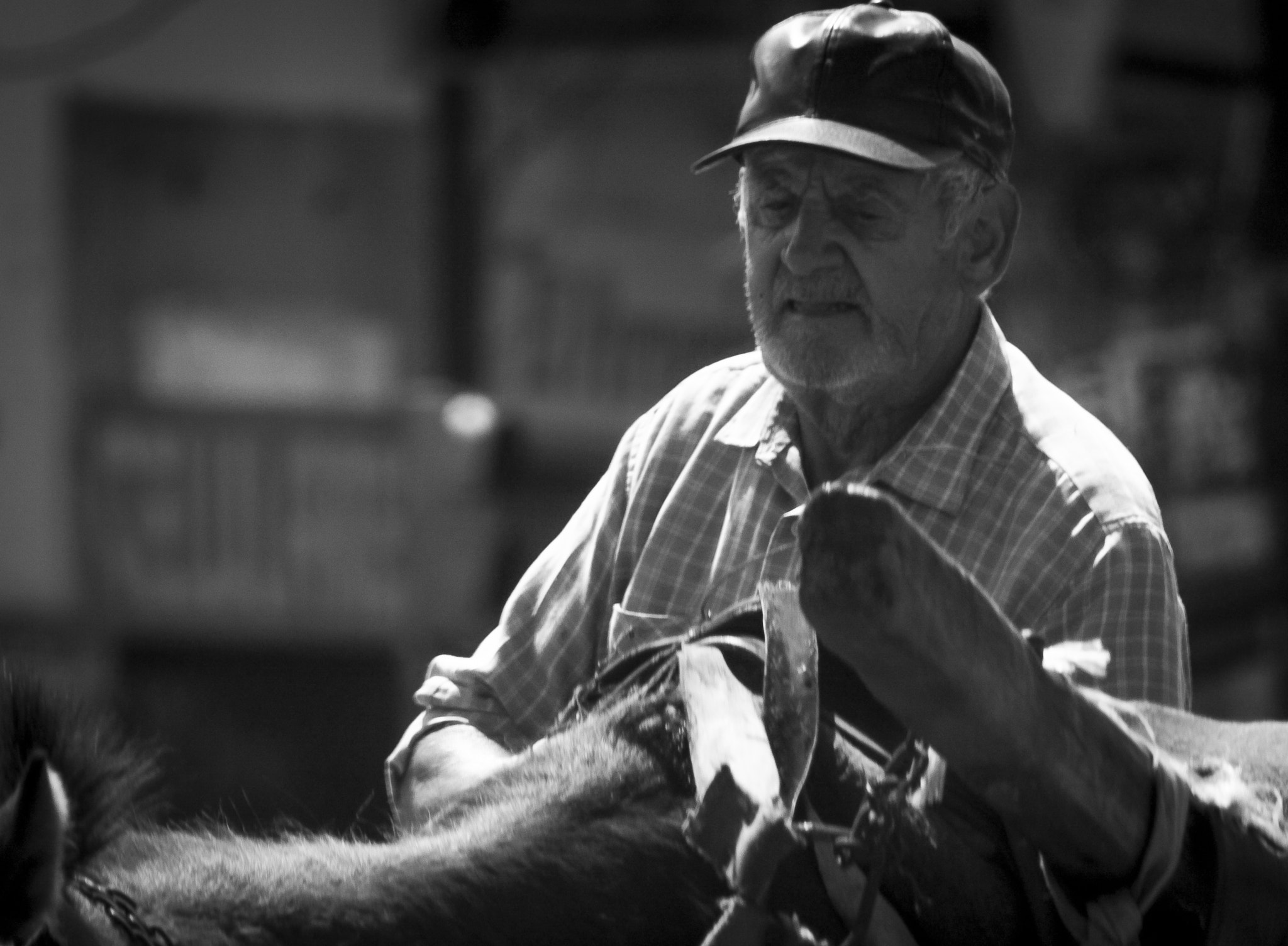 Canon EF 75-300mm f/4-5.6 USM sample photo. El arriero photography