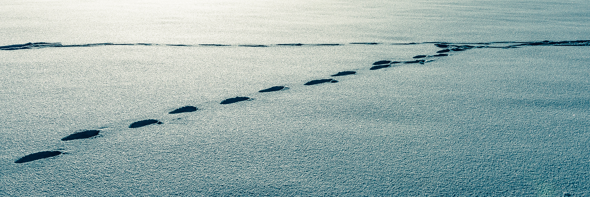 Sigma 28-300mm F3.5-6.3 DG Macro sample photo. Footprints photography