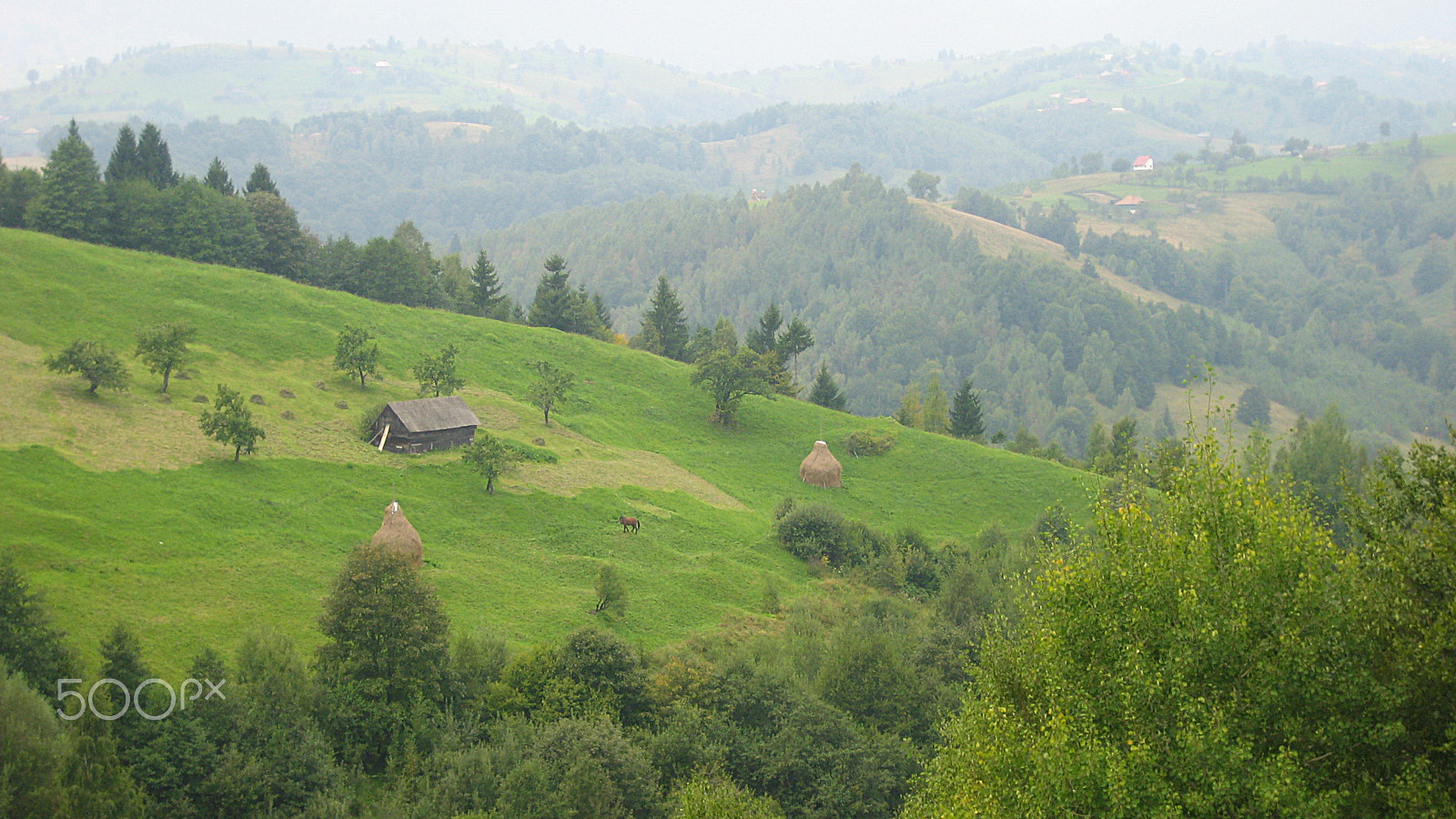 Canon POWERSHOT SD600 sample photo. Romanian vibe photography