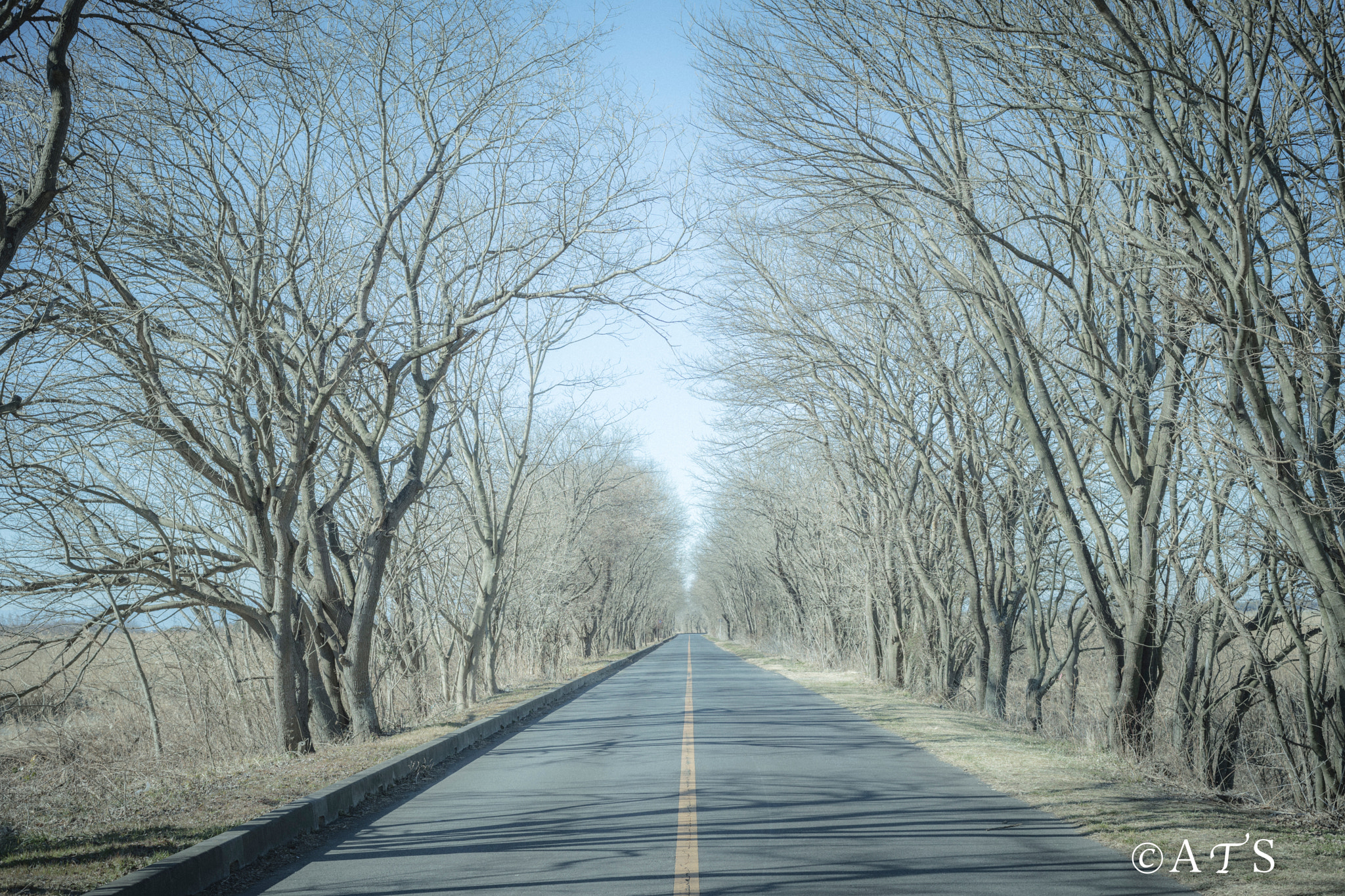ZEISS Planar T* 50mm F1.4 sample photo. Road photography