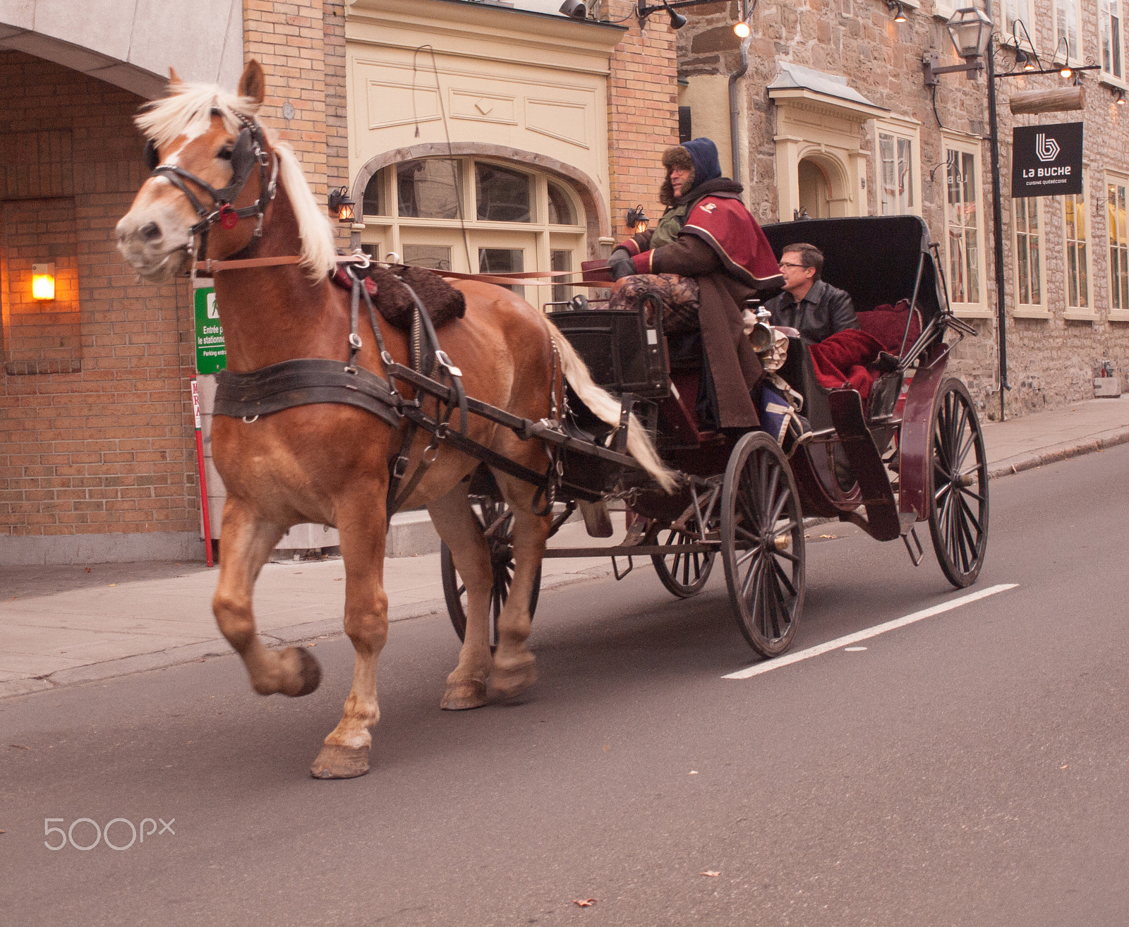 OLYMPUS 14-42mm Lens sample photo. Buggy ride photography