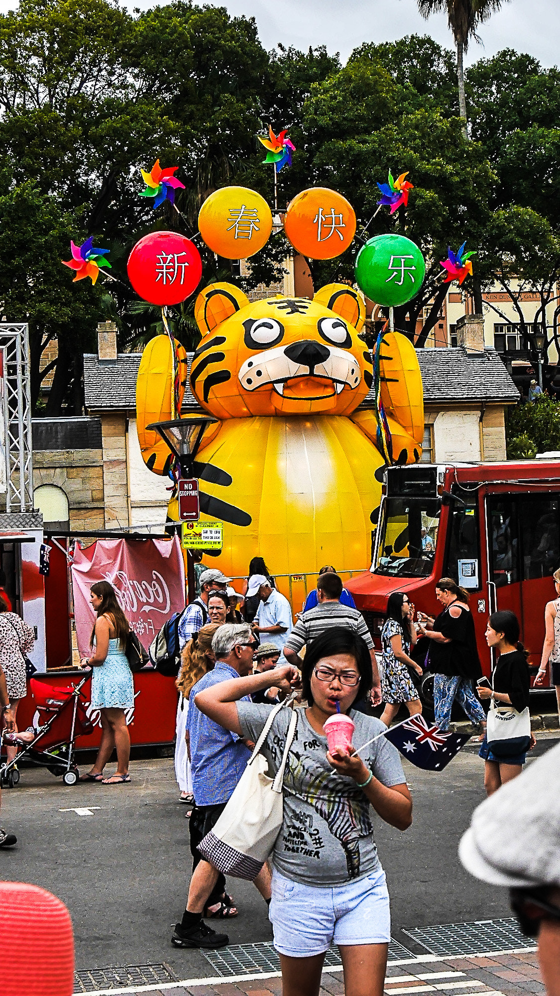 Panasonic Lumix DMC-GX7 sample photo. Chinese new year 2017 photography