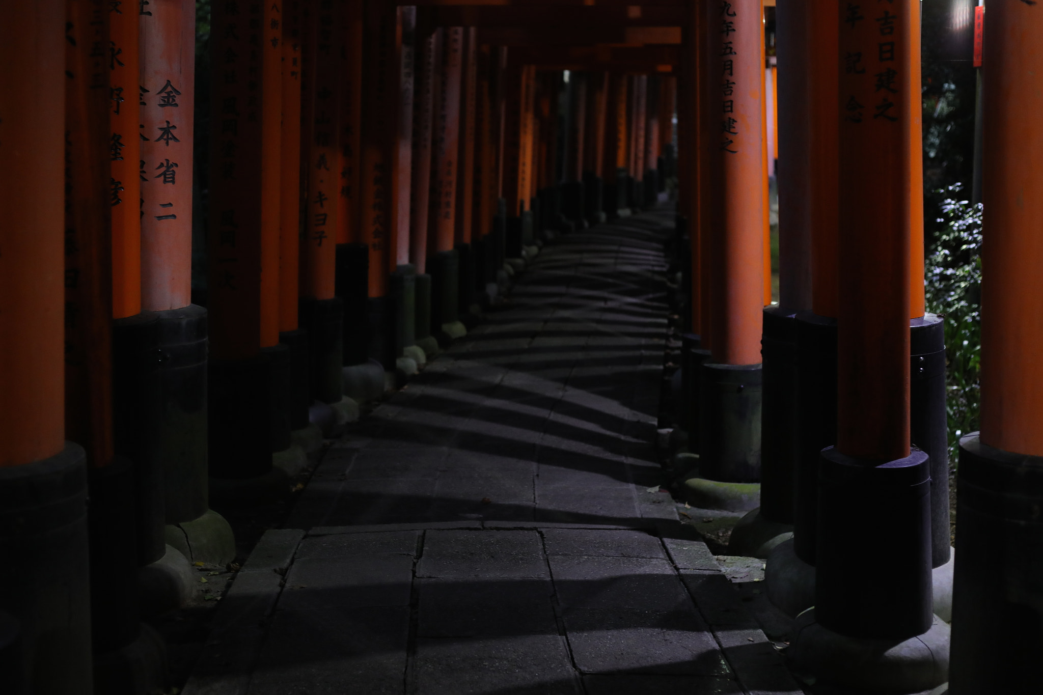 Canon EF 50mm F1.8 II sample photo. Red photography