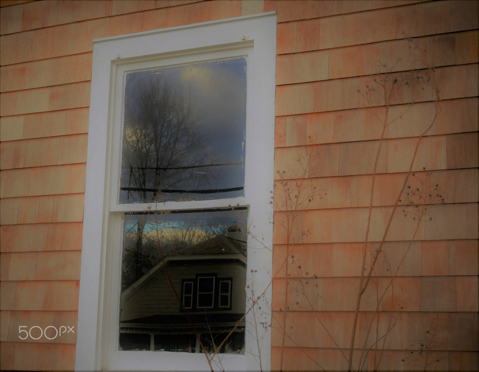 Nikon D200 sample photo. Reflection from across the street photography