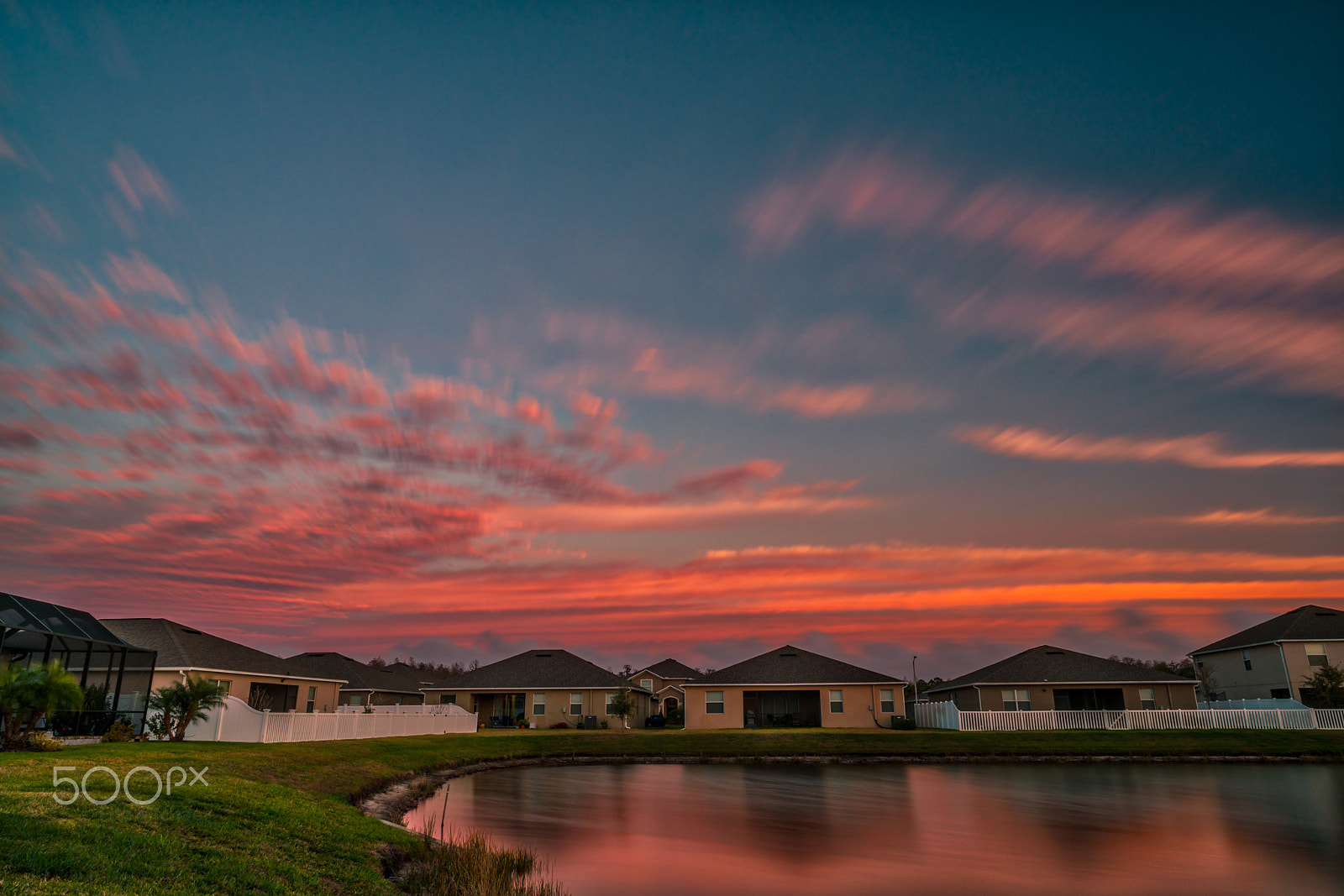 E 21mm F2.8 sample photo. How do you handle it if your neighbor's dog drop a load on your backyard? photography