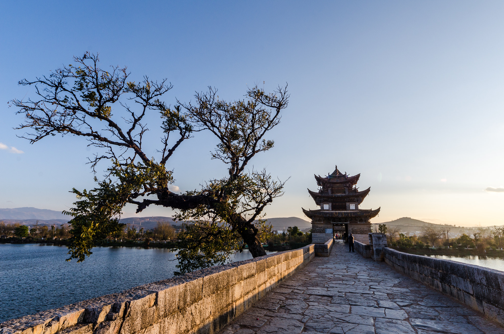 Nikon D7000 + Sigma 12-24mm F4.5-5.6 EX DG Aspherical HSM sample photo. Two dragon bridge photography