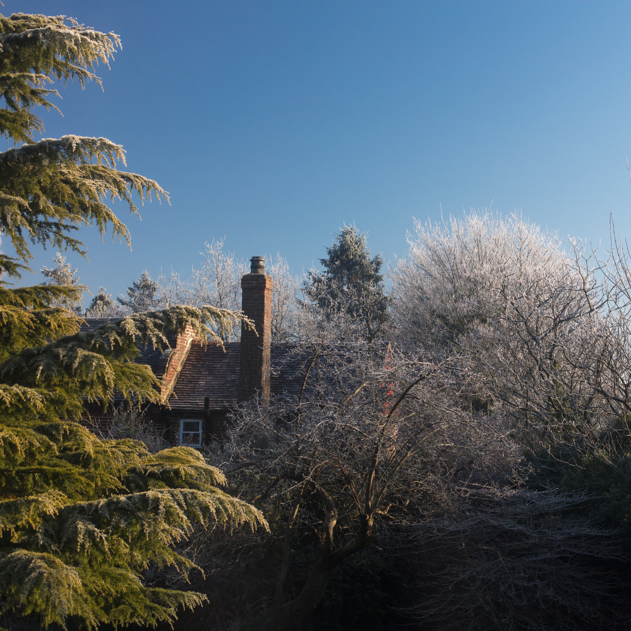Canon EOS 5DS R sample photo. Another frosty morning. photography
