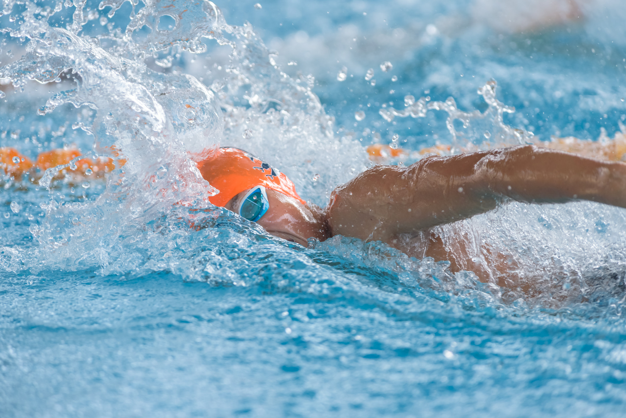 Nikon AF-S Nikkor 300mm F2.8G ED-IF VR sample photo. Seasac swimming competition photography