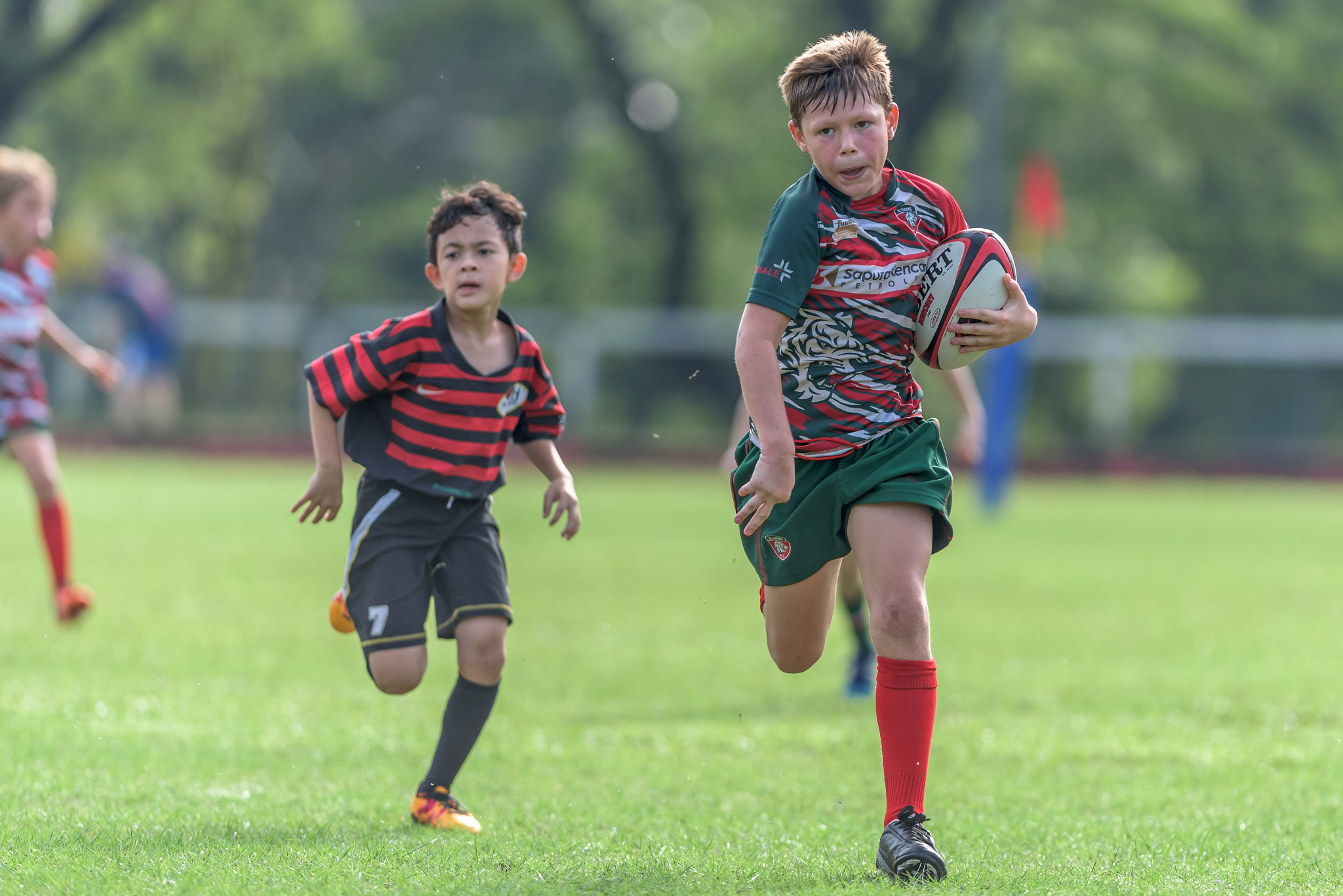 Nikon AF-S Nikkor 300mm F2.8G ED-IF VR sample photo. Kl highland games 2016 photography