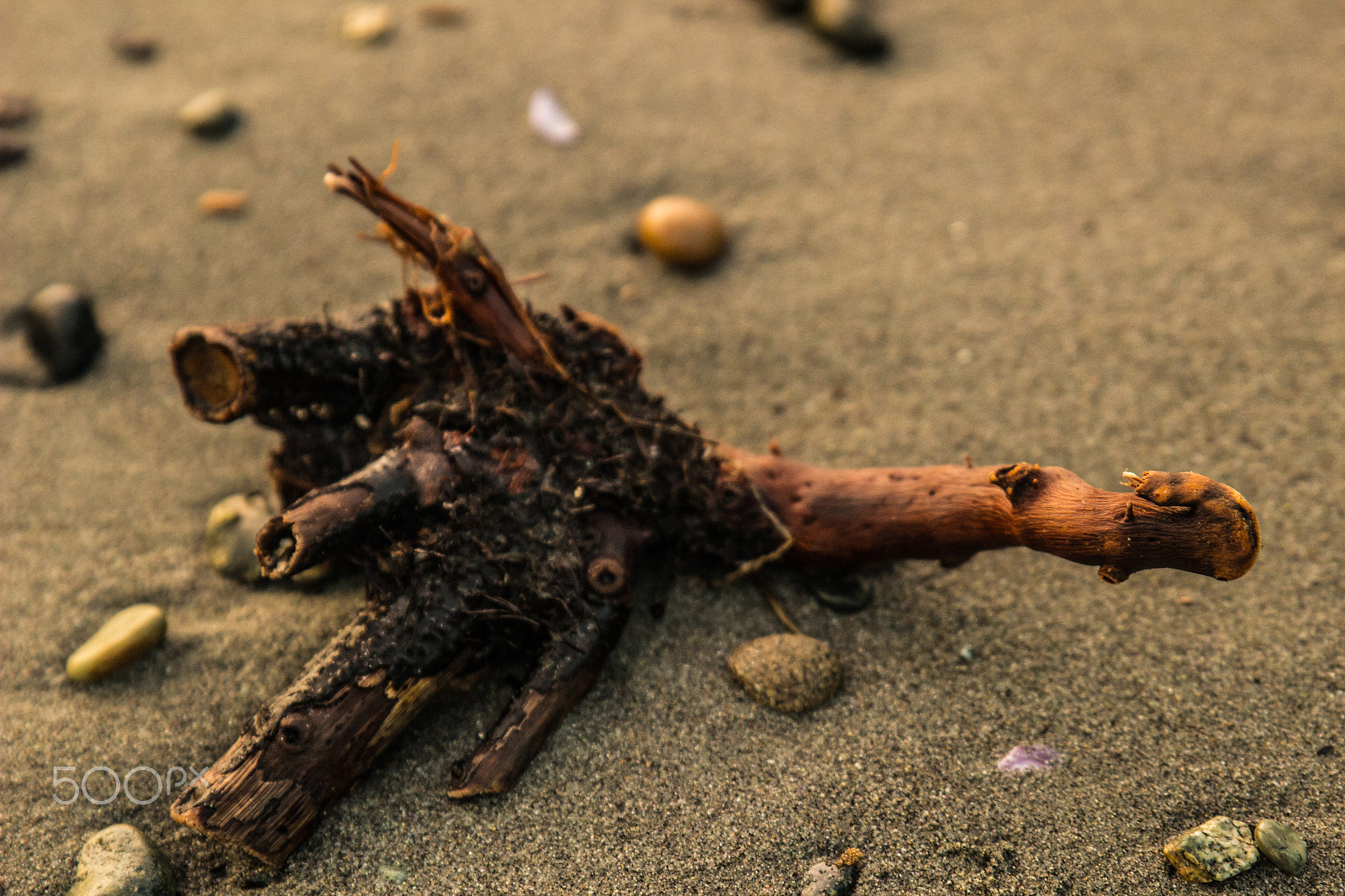 Sigma 24-70mm F2.8 EX DG Macro sample photo. Washed up photography