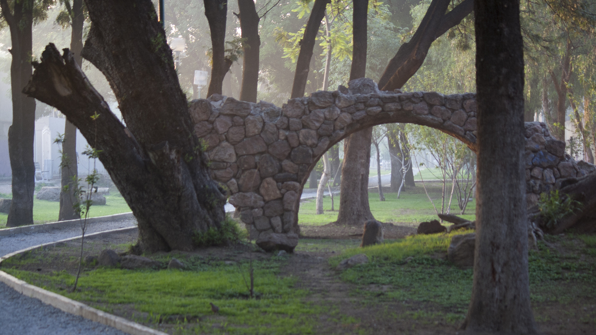 Canon EF-S 55-250mm F4-5.6 IS sample photo. Neblina photography