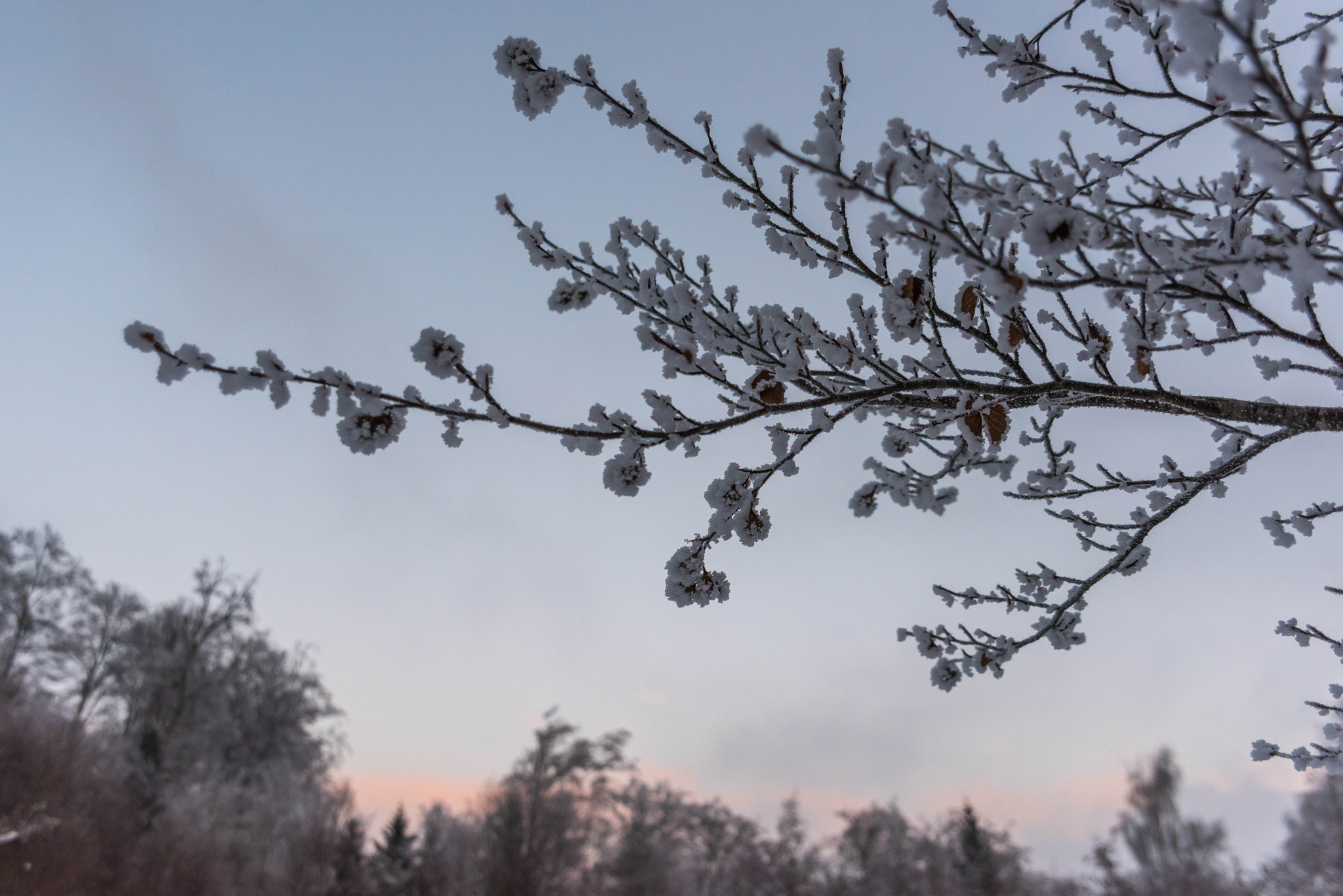 Sigma 24-70mm F2.8 EX DG HSM sample photo. Dusk photography