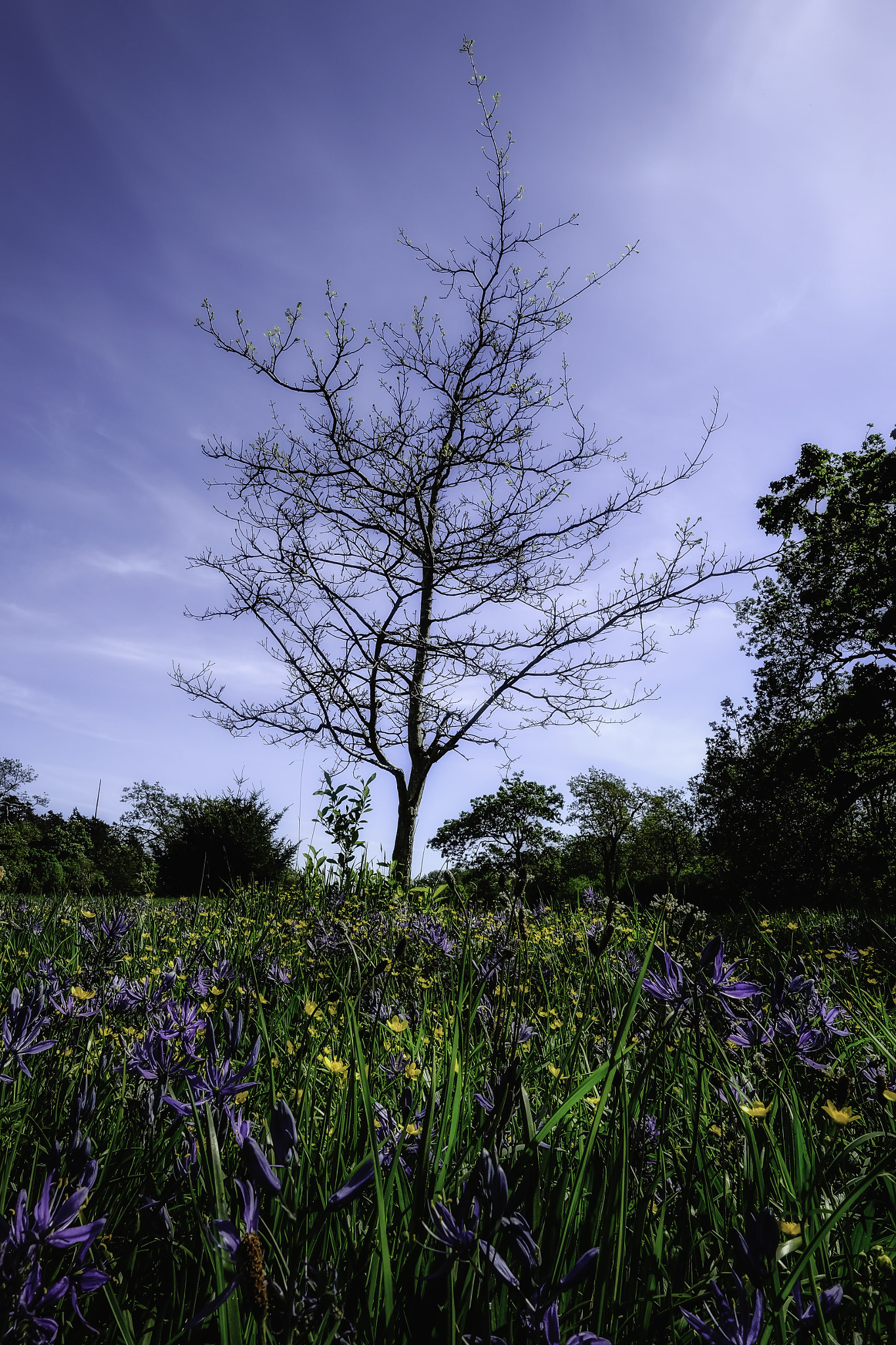 Fujifilm XF 14mm F2.8 R sample photo. Early spring #3 photography