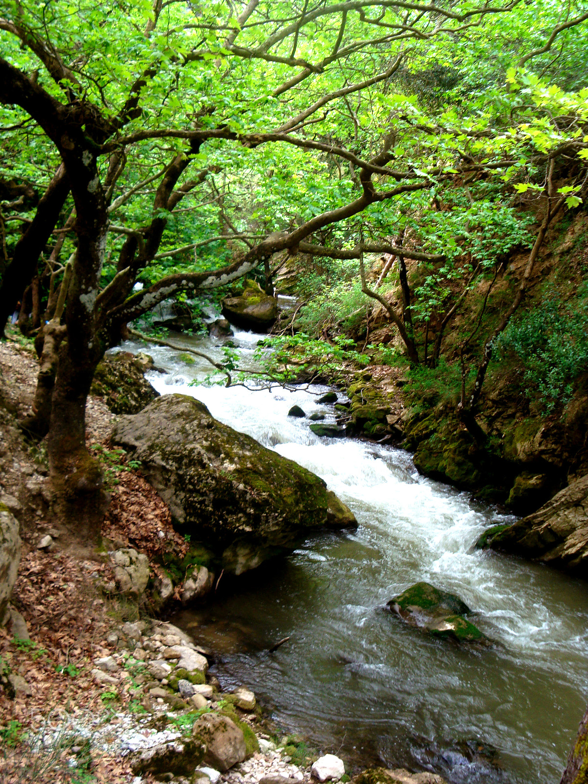 Sony Cyber-shot DSC-W150 sample photo. Vouraikos river photography