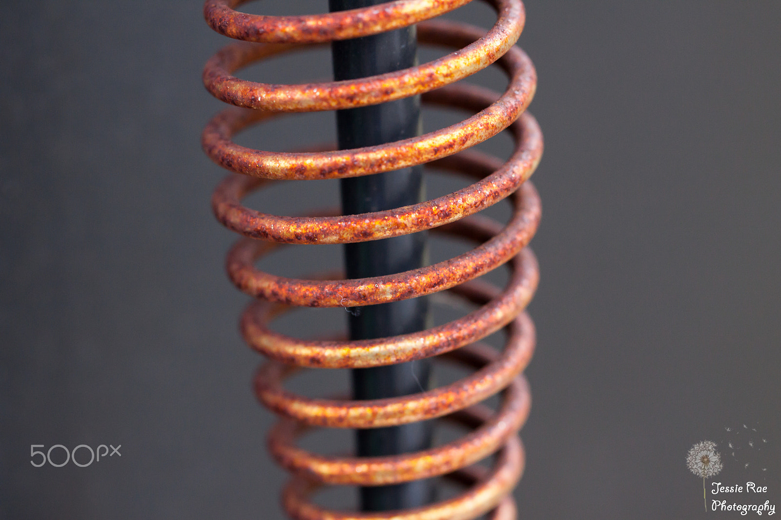 Canon EOS 50D + Canon EF 100mm F2.8L Macro IS USM sample photo. Rusty metal photography