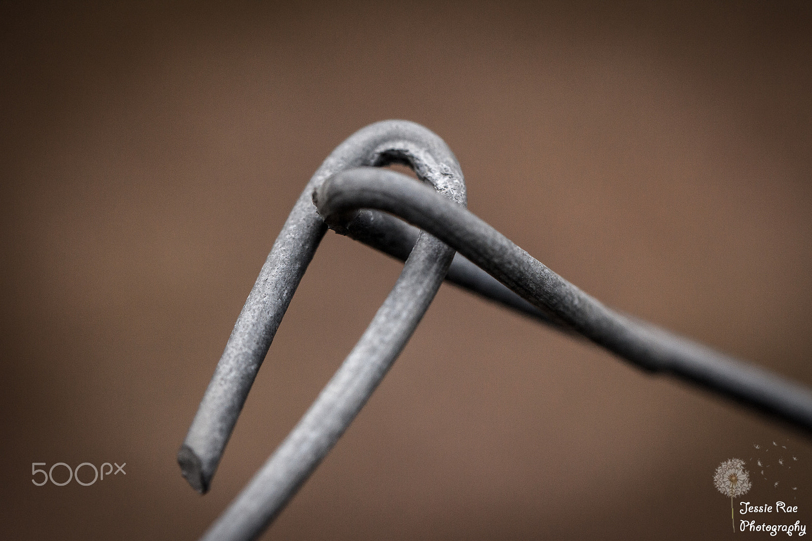 Canon EF 100mm F2.8L Macro IS USM sample photo. Looped photography