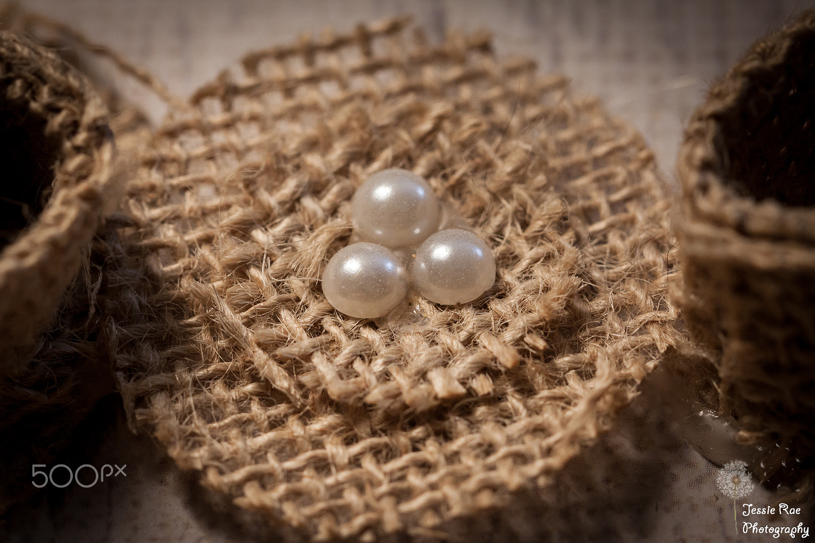 Canon EF 100mm F2.8L Macro IS USM sample photo. Nesting photography