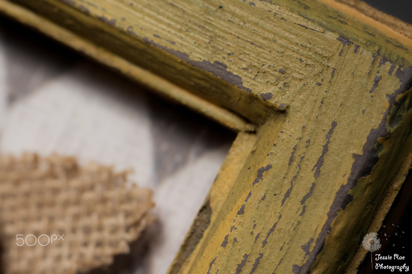Canon EF 100mm F2.8L Macro IS USM sample photo. Edge of art photography
