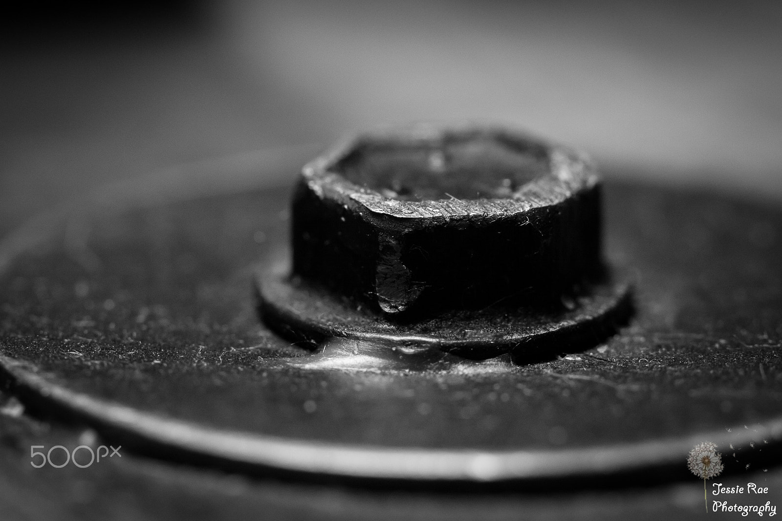Canon EF 100mm F2.8L Macro IS USM sample photo. Bolted photography
