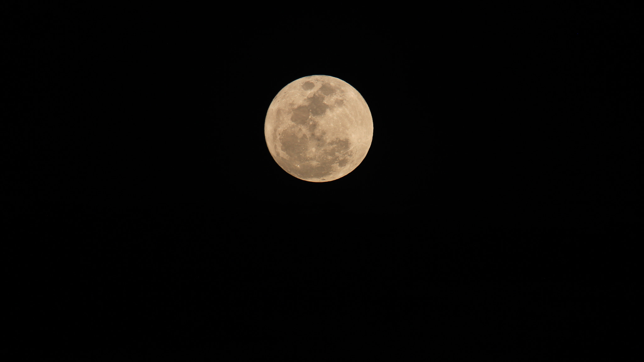 Canon EF 100-400mm F4.5-5.6L IS USM sample photo. Luna mapiripan photography