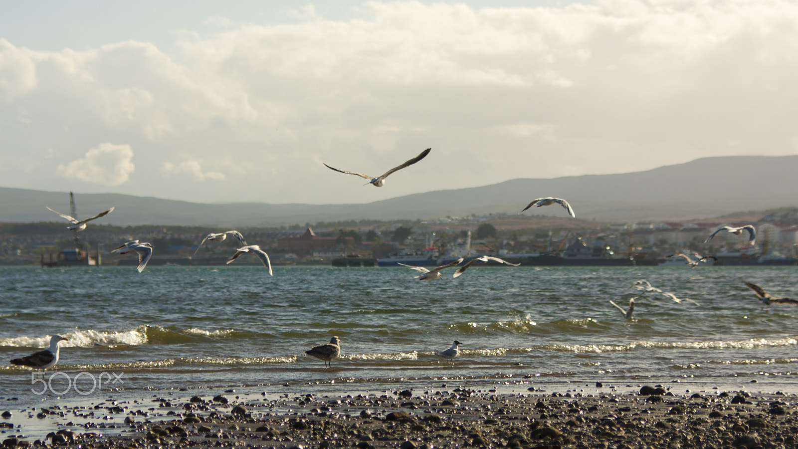 Tamron SP AF 28-105mm f/2.8 LD Aspherical IF sample photo. Beach photography